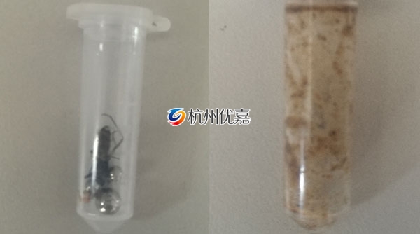 宋慈多樣品組織研磨儀研磨動物提取核酸實(shí)驗步驟